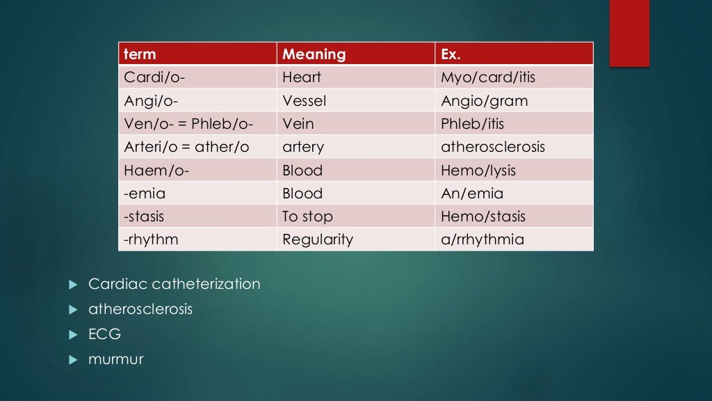Medical Terminology of the body systems