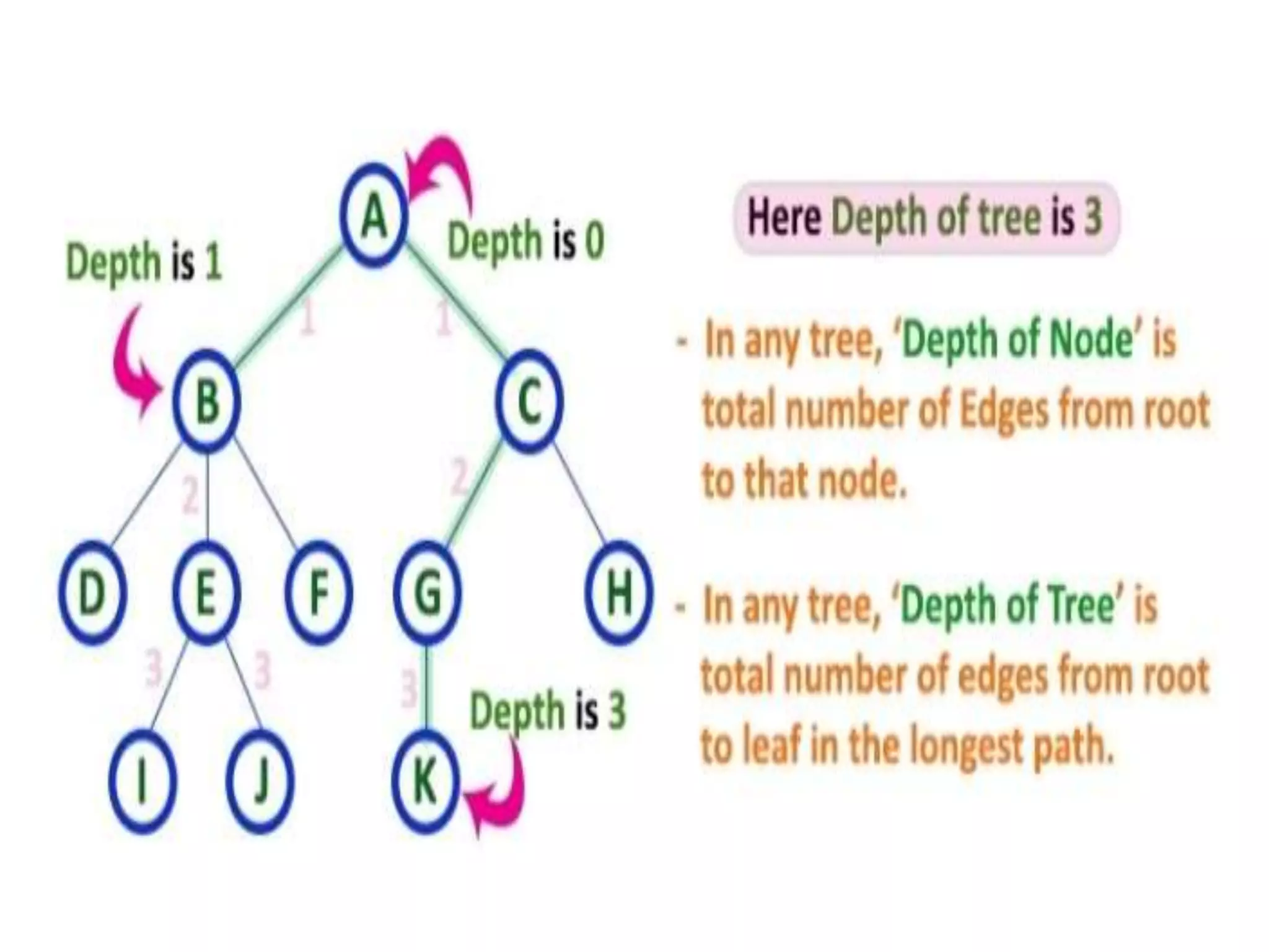 Terminology of tree | PPTX