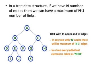 Terminology of tree | PPTX