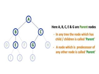 Terminology of tree | PPT