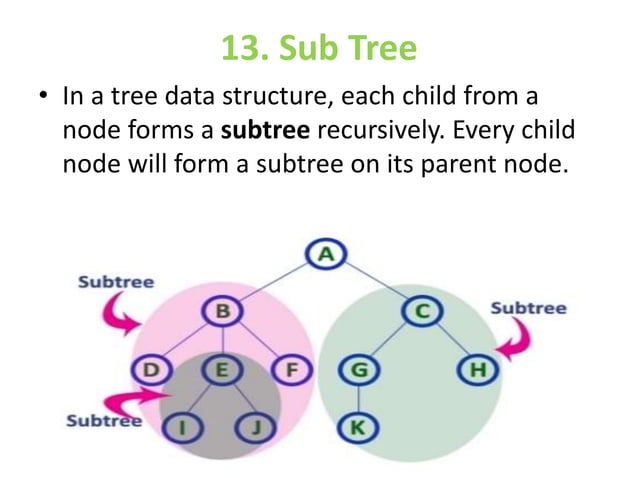 Terminology of tree | PPT
