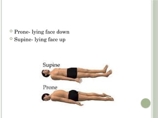 Medical Terminology PowerPoint 2023.pptx