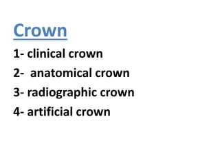 Crown
1- clinical crown
2- anatomical crown
3- radiographic crown
4- artificial crown
 