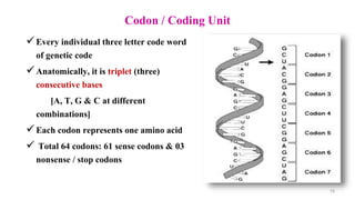 Central Dogma, Gene, Genetic Code, Codon, Genome, Genotype, Phenotype ...