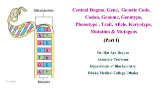 Dr. Ifat Ara Begum
Associate Professor
Department of Biochemistry
Dhaka Medical College, Dhaka
Central Dogma, Gene, Genetic Code,
Codon, Genome, Genotype,
Phenotype , Trait, Allele, Karyotype,
Mutation & Mutagens
(Part I)
17/11/2020
 