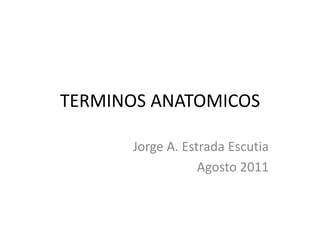 TERMINOS ANATOMICOS Jorge A. Estrada Escutia Agosto 2011 