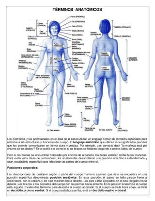 Terminos anatomicos y planos
