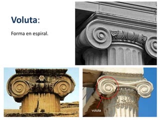 Voluta:
Forma en espiral.
 