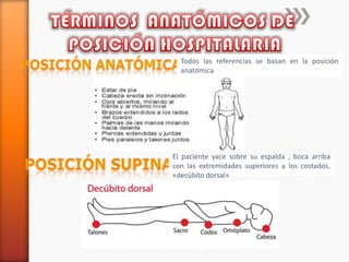 Todos las referencias se basan en la posición
anatómica
El paciente yace sobre su espalda , boca arriba
con las extremidades superiores a los costados.
«decúbito dorsal»
 
