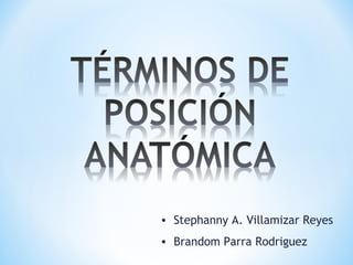 • Stephanny A. Villamizar Reyes
• Brandom Parra Rodriguez
 