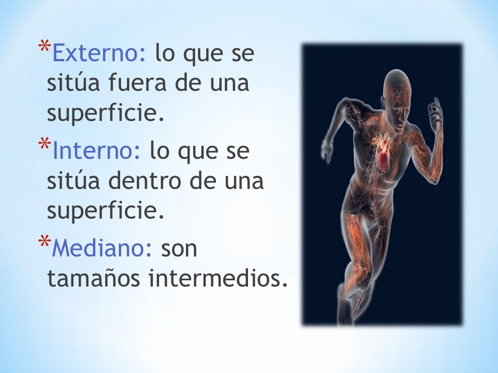 Terminos de posición anatómica