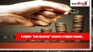 A higher “Sum Assured” ensures a higher payout…
 