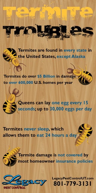 Termite Troubles Infographic