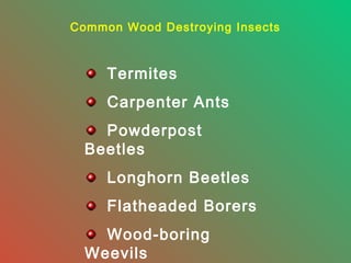Common Wood Destroying Insects

Termites
Carpenter Ants
Powderpost
Beetles
Longhorn Beetles
Flatheaded Borers
Wood-boring
Weevils

 