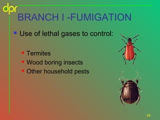 BRANCH I -FUMIGATION


Use of lethal gases to control:




Termites
Wood boring insects
Other household pests

25

 