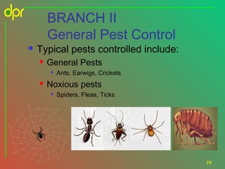 BRANCH II
General Pest Control



Typical pests controlled include:


General Pests




Ants, Earwigs, Crickets

Noxious pests


Spiders, Fleas, Ticks

29

 