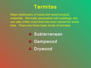Termites
Major destroyers of wood and wood product
materials. Normally associated with buildings, but
can also infest wood that has been stored for some
time. There are three basic kinds of termites:

Subterranean
Dampwood
Drywood

 