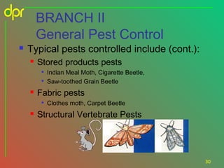 BRANCH II
General Pest Control



Typical pests controlled include (cont.):


Stored products pests





Fabric pests




Indian Meal Moth, Cigarette Beetle,
Saw-toothed Grain Beetle
Clothes moth, Carpet Beetle

Structural Vertebrate Pests

30

 