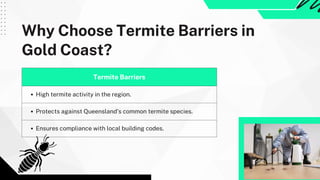 Termite Barrier Gold Coast: Protect Your Property from Termite Damage | PDF