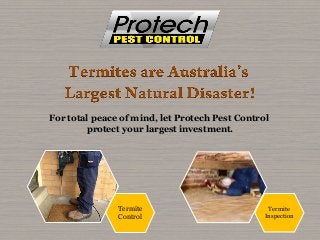 For total peace of mind, let Protech Pest Control
protect your largest investment.
Termite
Control
Termite
Inspection
 