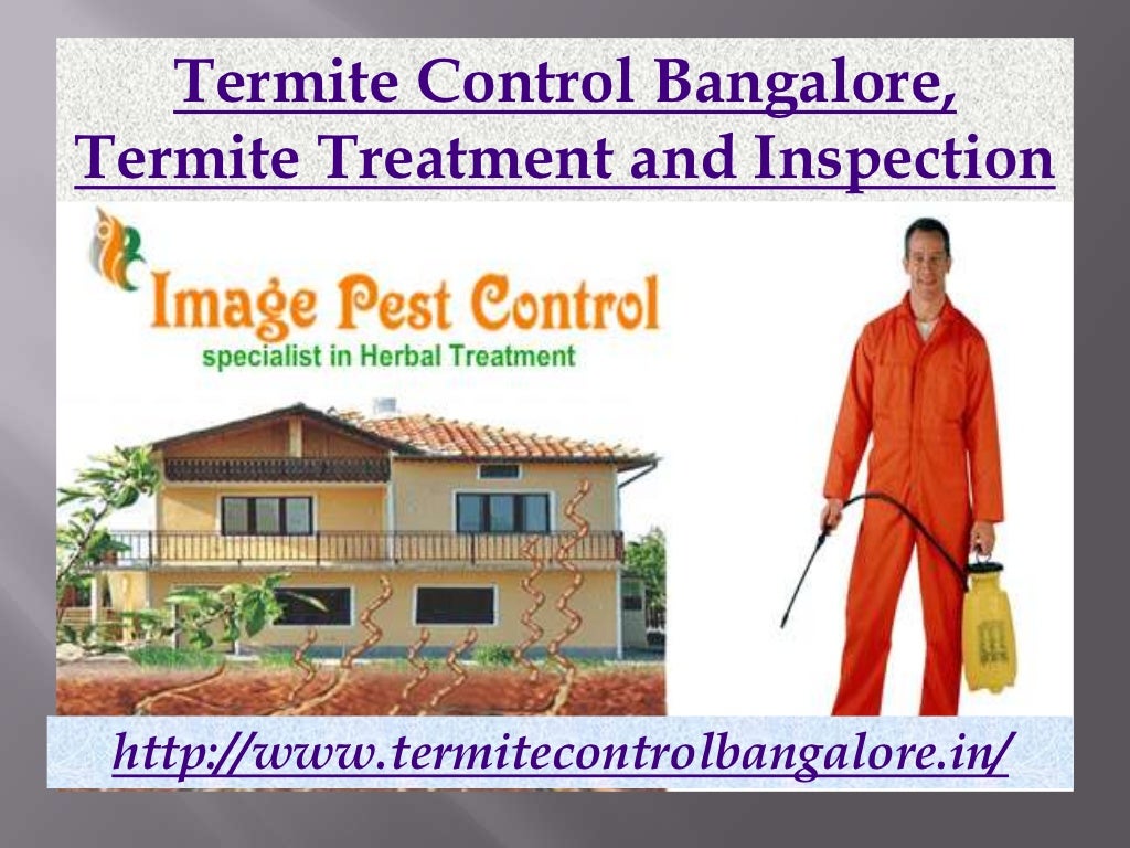 Termite control bangalore, termite treatment and inspection imagepestcontrol