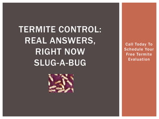 Call Today To Schedule Your Free Termite EvaluationTermite Control: Real Answers, Right NowSlug-a-Bug