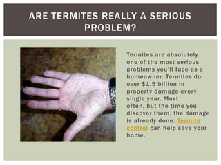 Termites are absolutely one of the most serious problems you’ll face as a homeowner. Termites do over $1.5 billion in prop...