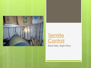 Termite
Control
Real Help, Right Now
 
