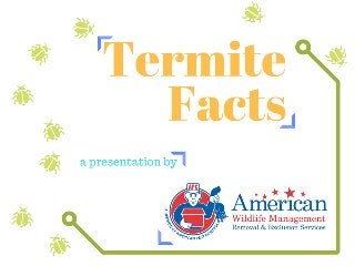 American Pest Control: Termite Facts