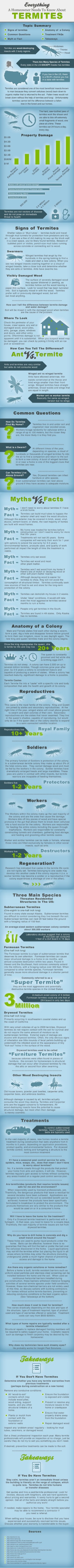 Termite Infographic - Everything A Homeowner Needs To Know About Termites