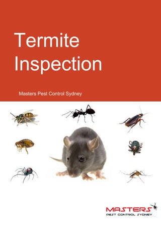 Termite
Inspection
Masters Pest Control Sydney
 