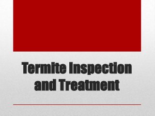 Termite Inspection
and Treatment
 