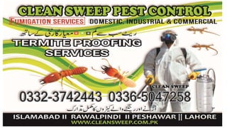 termite proofing services in islamabad