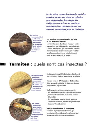 Les termites, comme les fourmis, sont des
                                       insectes sociaux qui vivent en colonies.
...