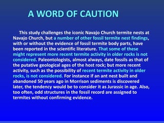 A WORD OF CAUTION
This study challenges the iconic Navajo Church termite nests at
Navajo Church, but a number of other fossil termite nest findings,
with or without the evidence of fossil termite body parts, have
been reported in the scientific literature. That some of these
might represent more recent termite activity in older rocks is not
considered. Paleontologists, almost always, date fossils as that of
the putative geological ages of the host rock; but more recent
activity, such as the possibility of recent termite activity in older
rocks, is not considered. For instance if an ant nest built and
abandoned 50 years ago in Morrison sediments is discovered
later, the tendency would be to consider it as Jurassic in age. Also,
too often, odd structures in the fossil record are assigned to
termites without confirming evidence.
 