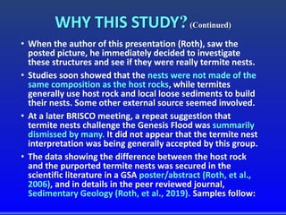 WHY THIS STUDY?(Continued)
• When the author of this presentation (Roth), saw the
posted picture, he immediately decided to investigate
these structures and see if they were really termite nests.
• Studies soon showed that the nests were not made of the
same composition as the host rocks, while termites
generally use host rock and local loose sediments to build
their nests. Some other external source seemed involved.
• At a later BRISCO meeting, a repeat suggestion that
termite nests challenge the Genesis Flood was summarily
dismissed by many. It did not appear that the termite nest
interpretation was being generally accepted by this group.
• The data showing the difference between the host rock
and the purported termite nests was secured in the
scientific literature in a GSA poster/abstract (Roth, et al.,
2006), and in details in the peer reviewed journal,
Sedimentary Geology (Roth, et al., 2019). Samples follow:
 