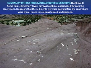 CONTINUITY OF HOST ROCK LAYERS AROUND CONCRETIONS (Continued)
Some thin sedimentary layers (arrows) continue undisturbed through the
concretions. It appears that the sediments were laid down before the concretions
were there, hence concretions formed underground.
 