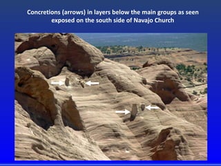 Concretions (arrows) in layers below the main groups as seen
exposed on the south side of Navajo Church
 