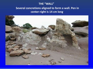 THE “WALL”
Several concretions aligned to form a wall. Pen in
center-right is 14 cm long.
 