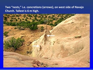 Two “nests,” i.e. concretions (arrows), on west side of Navajo
Church. Tallest is 6 m high.
 