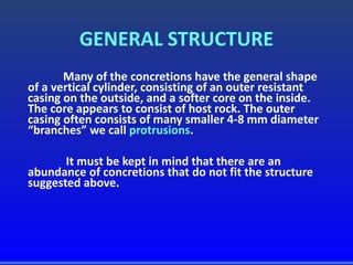 GENERAL STRUCTURE
Many of the concretions have the general shape
of a vertical cylinder, consisting of an outer resistant
casing on the outside, and a softer core on the inside.
The core appears to consist of host rock. The outer
casing often consists of many smaller 4-8 mm diameter
“branches” we call protrusions.
It must be kept in mind that there are an
abundance of concretions that do not fit the structure
suggested above.
 