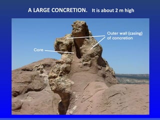 A LARGE CONCRETION. It is about 2 m high
(casing)
 