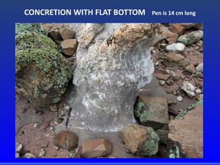 CONCRETION WITH FLAT BOTTOM. Pen is 14 cm long
 