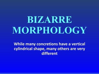 BIZARRE
MORPHOLOGY
While many concretions have a vertical
cylindrical shape, many others are very
different
 