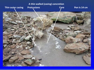Thin outer casing Protrusions Core Pen is 14 cm
A thin walled (casing) concretion
 