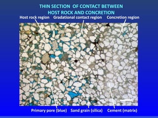 THIN SECTION OF CONTACT BETWEEN
HOST ROCK AND CONCRETION
1 mm
Host rock region Gradational contact region Concretion region
Primary pore (blue) Sand grain (silica) Cement (matrix)
 