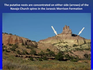 The putative nests are concentrated on either side (arrows) of the
Navajo Church spires in the Jurassic Morrison Formation
 