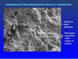 SCANNING ELECTRON MICROSCOPE VIEW OF A CONCRETION
Cement is
more
abundant
Silica grains
covered by
a thin
veneer of
cement
0.1mm
 