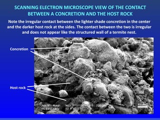 0.1 mm
Concretion
Host rock
SCANNING ELECTRON MICROSCOPE VIEW OF THE CONTACT
BETWEEN A CONCRETION AND THE HOST ROCK
Note the irregular contact between the lighter shade concretion in the center
and the darker host rock at the sides. The contact between the two is irregular
and does not appear like the structured wall of a termite nest.
 