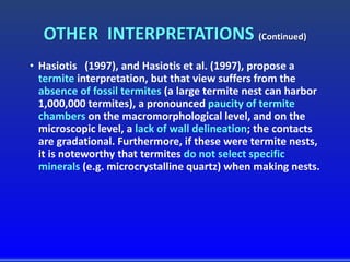 OTHER INTERPRETATIONS (Continued)
• Hasiotis (1997), and Hasiotis et al. (1997), propose a
termite interpretation, but that view suffers from the
absence of fossil termites (a large termite nest can harbor
1,000,000 termites), a pronounced paucity of termite
chambers on the macromorphological level, and on the
microscopic level, a lack of wall delineation; the contacts
are gradational. Furthermore, if these were termite nests,
it is noteworthy that termites do not select specific
minerals (e.g. microcrystalline quartz) when making nests.
 